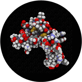 Growth Factor